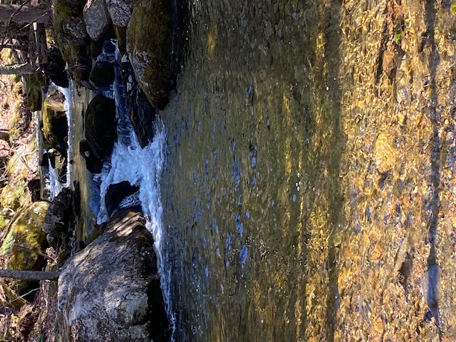 Brook 3